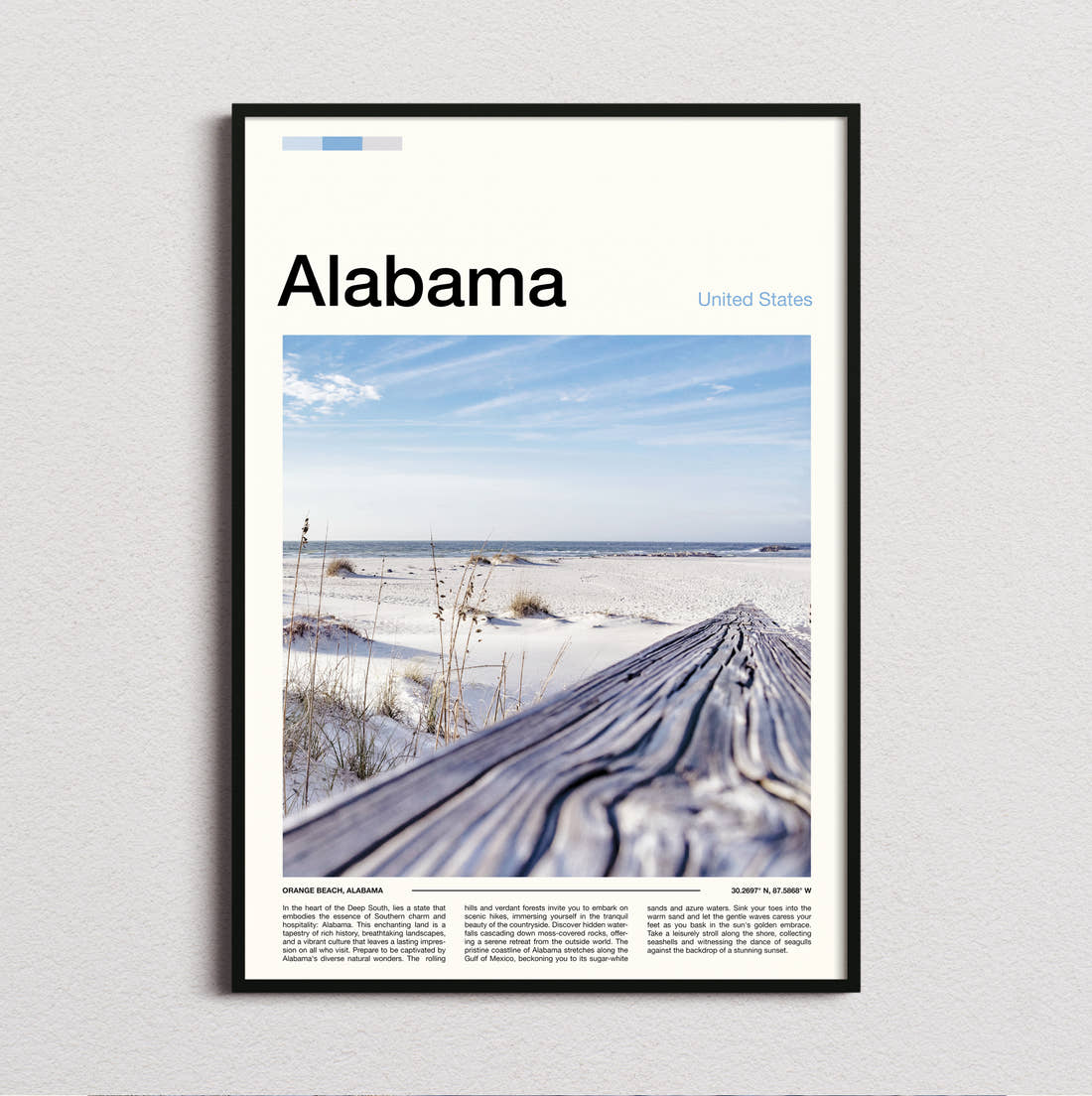 Alabama Driftwood On The Beach Travel Print framed and photographed straight on
