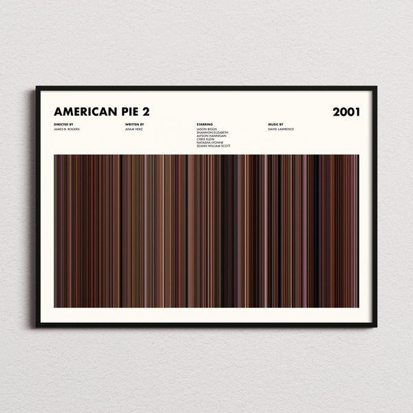 American Pie 2 Movie Barcode Poster framed and photographed straight on