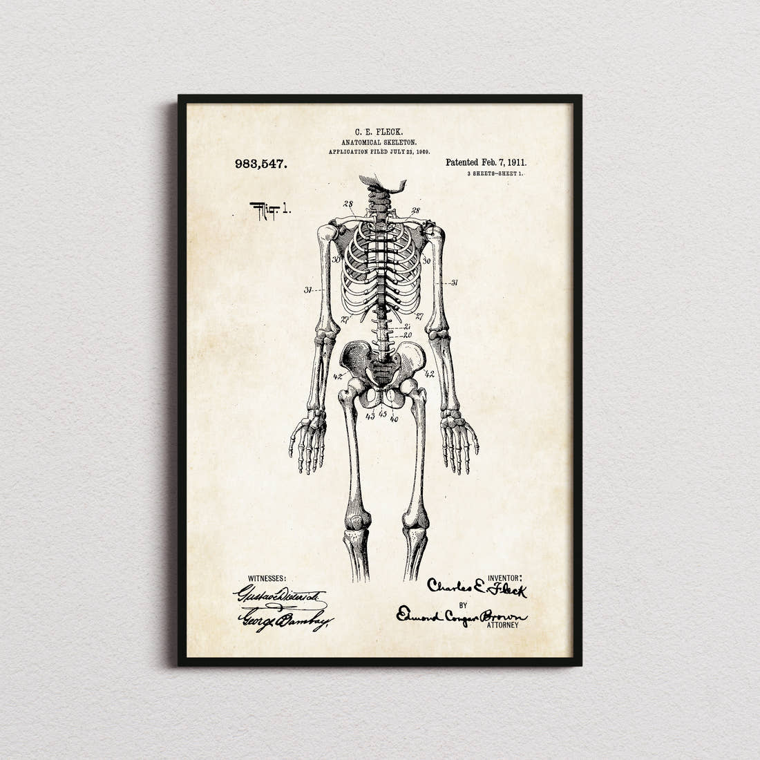 Anatomical Skeleton Patent Print in the aged paper colourway, framed