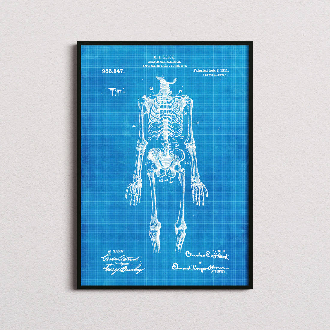 Anatomical Skeleton Patent Print in the blueprint colourway, framed