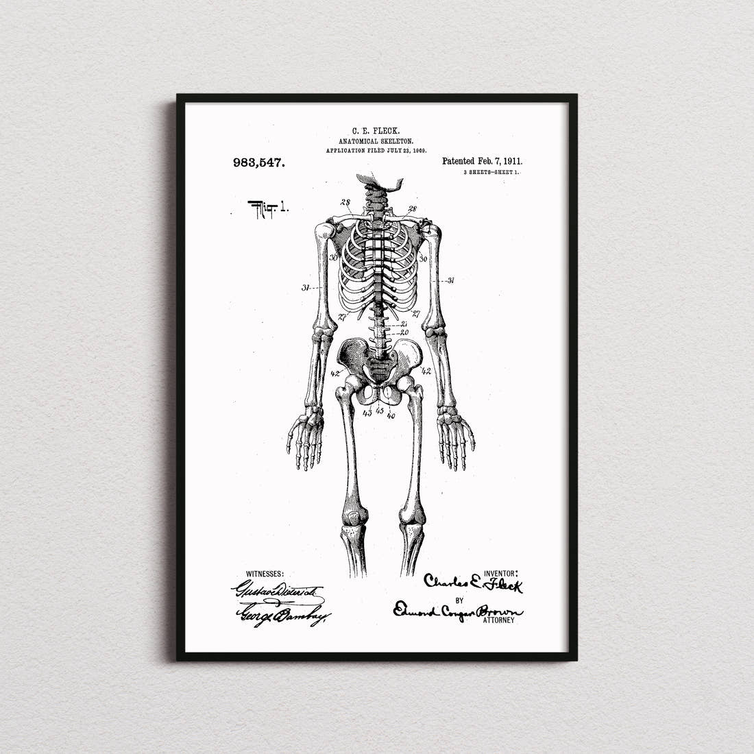 Anatomical Skeleton Patent Print in the white colourway, framed