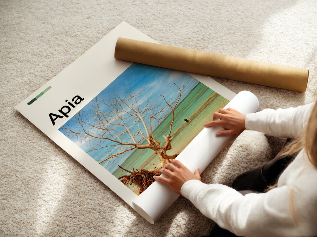 Apia Bare Tree On The Beach Travel Print being unrolled from its postal tube