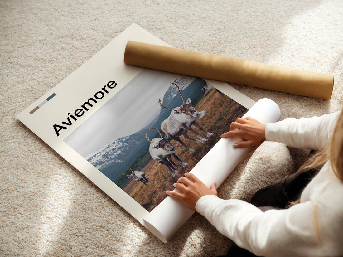 Aviemore Reindeer Travel Print being unrolled from its postal tube