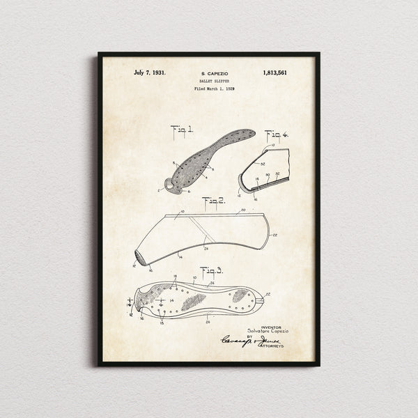 Ballet Slipper Patent Print