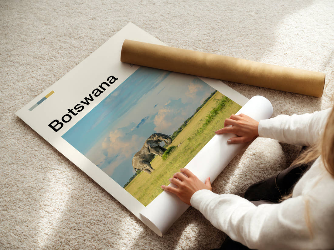 Botswana Elephant In Grassland Travel Print being unrolled from its postal tube
