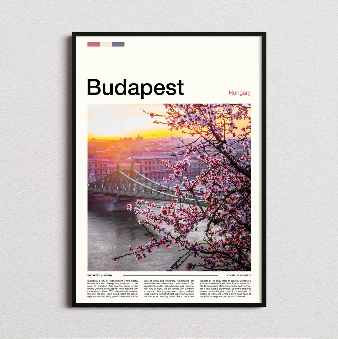 Budapest Chain Bridge And Blossoms Travel Print framed and photographed straight on