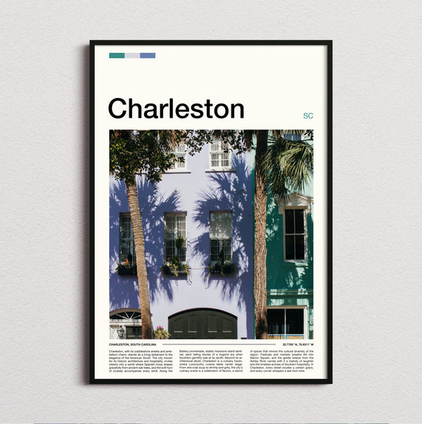 Charleston - Palm Shadows On Wall - Travel Print