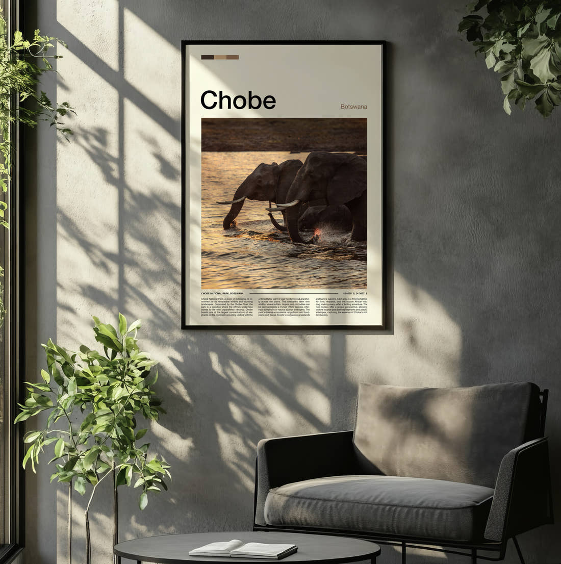Chobe Elephant In The River Travel Print framed on the wall of a relaxed living room
