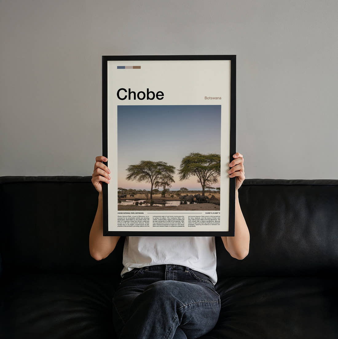 Chobe Acacia Trees On The Plain Travel Print held up by hand to show the size of the print