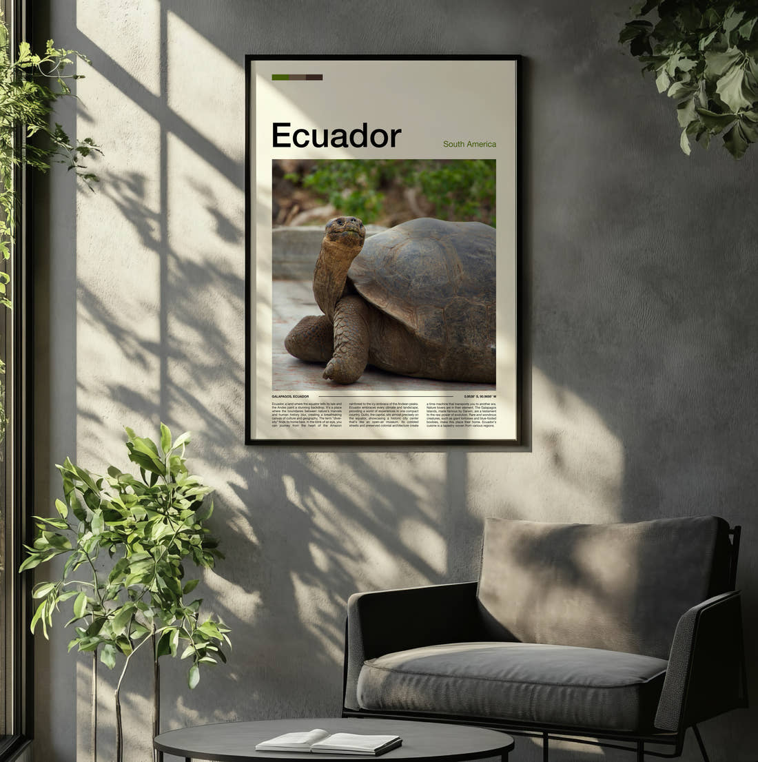 Ecuador Giant Tortoise Travel Print framed on the wall of a relaxed living room
