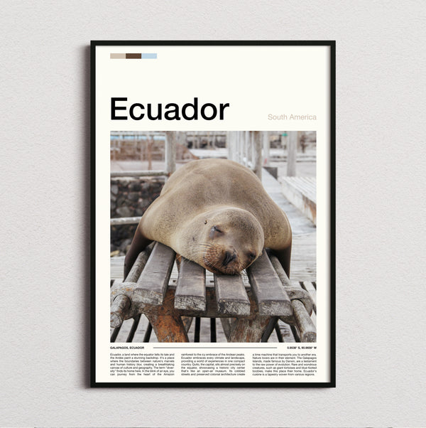 Ecuador - Sea Lion On A Bench - Travel Print