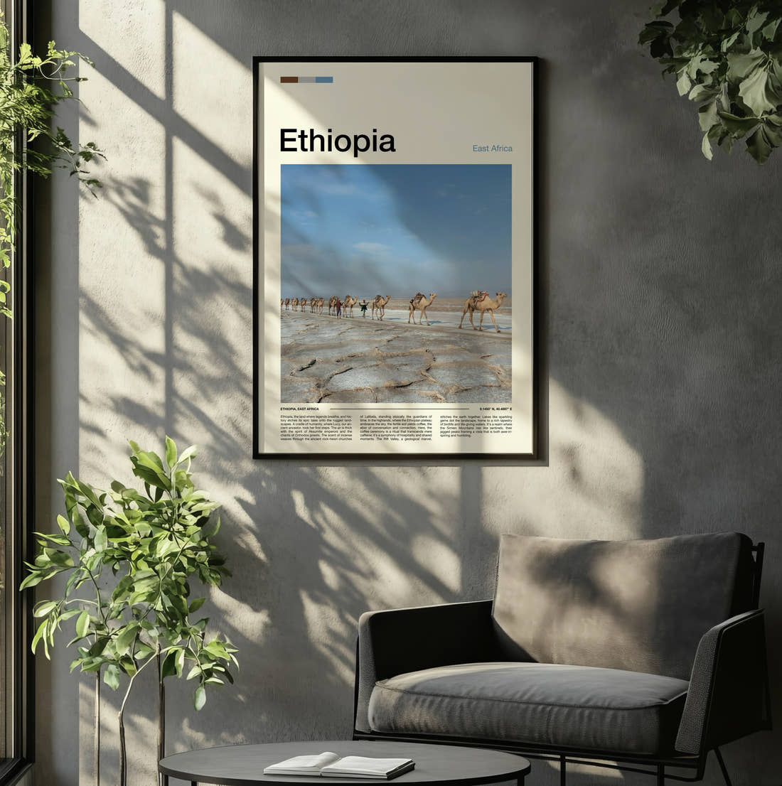 Ethiopia Camels On Salt Flats Travel Print framed on the wall of a relaxed living room