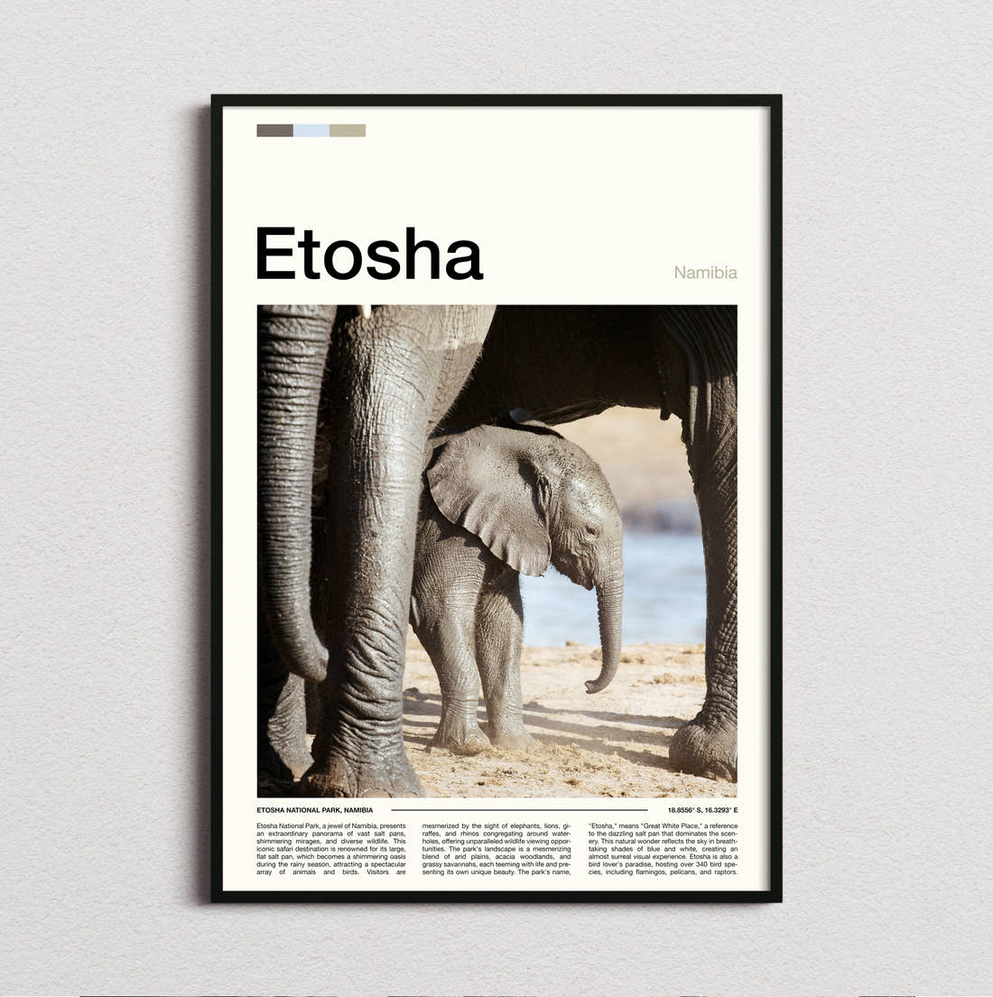 Etosha Baby Elephant Travel Print framed and photographed straight on