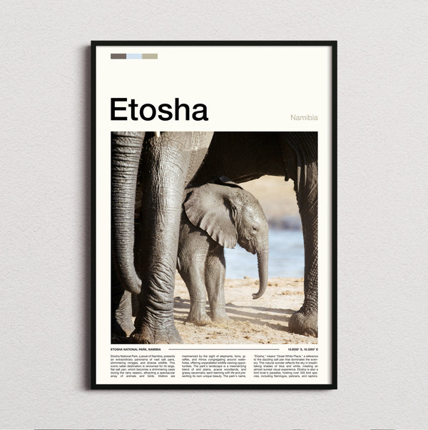 Etosha - Baby Elephant - Travel Print