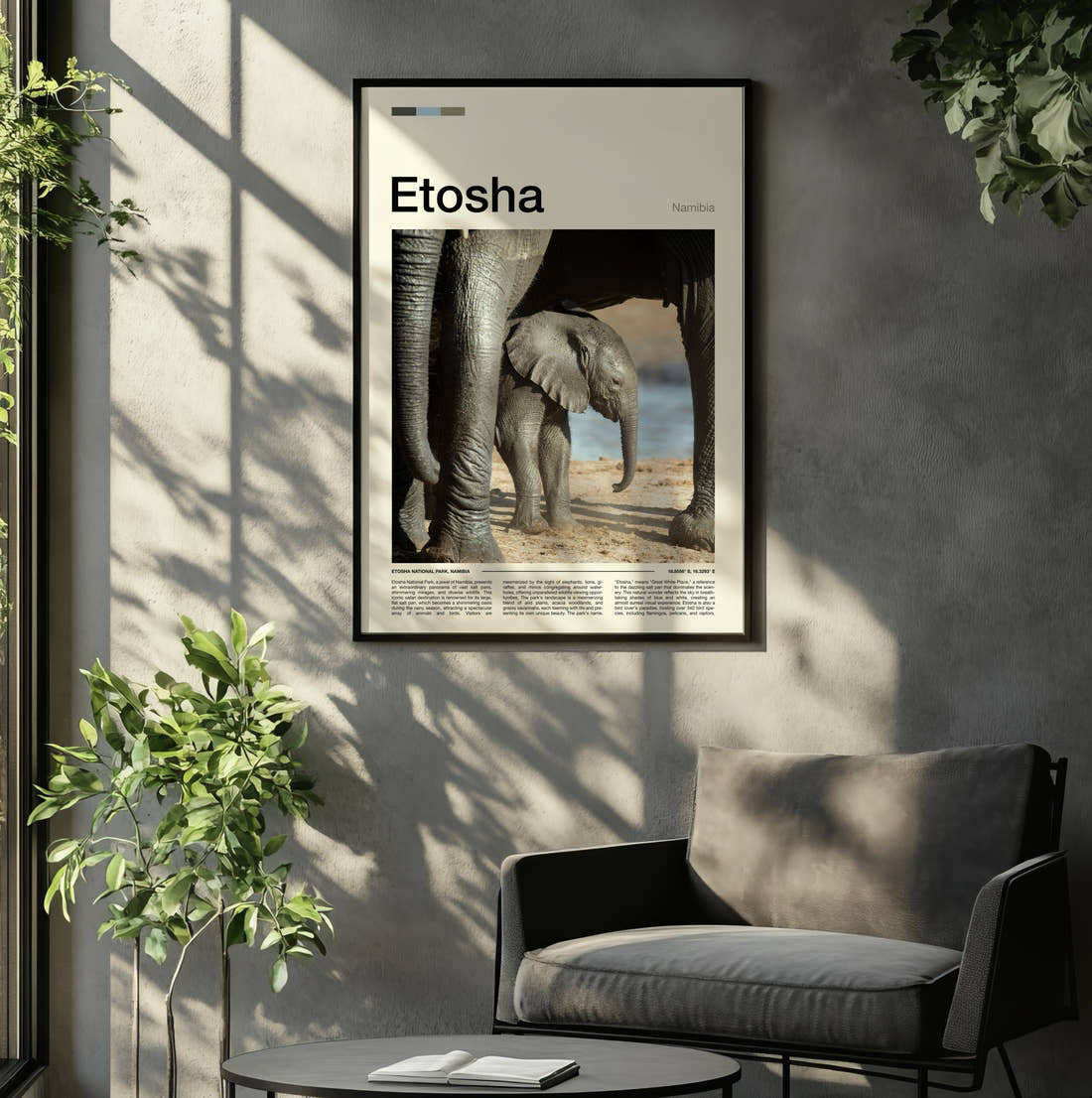 Etosha Baby Elephant Travel Print framed on the wall of a relaxed living room