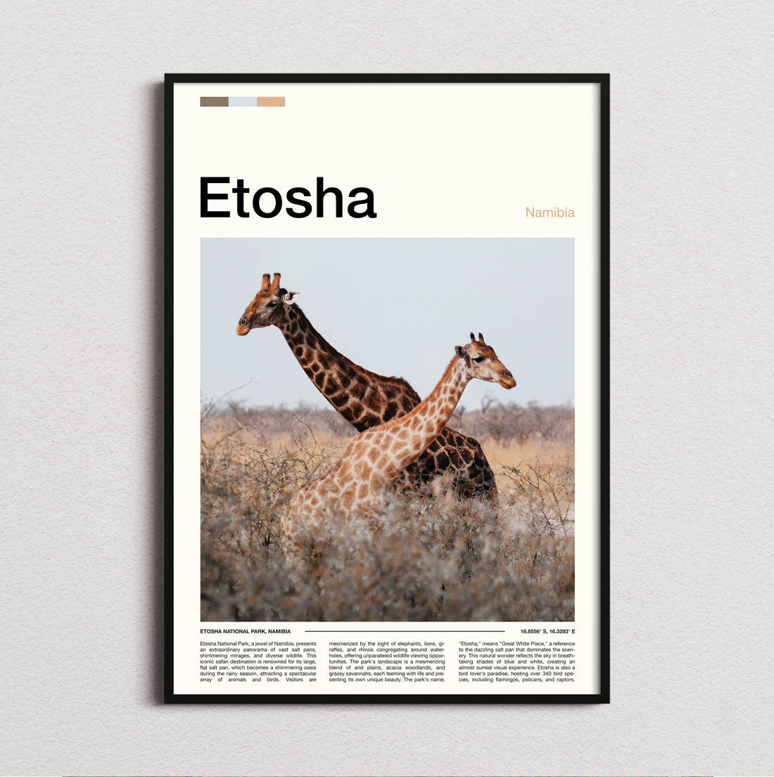 Etosha Giraffes In The Grassland Travel Print framed and photographed straight on