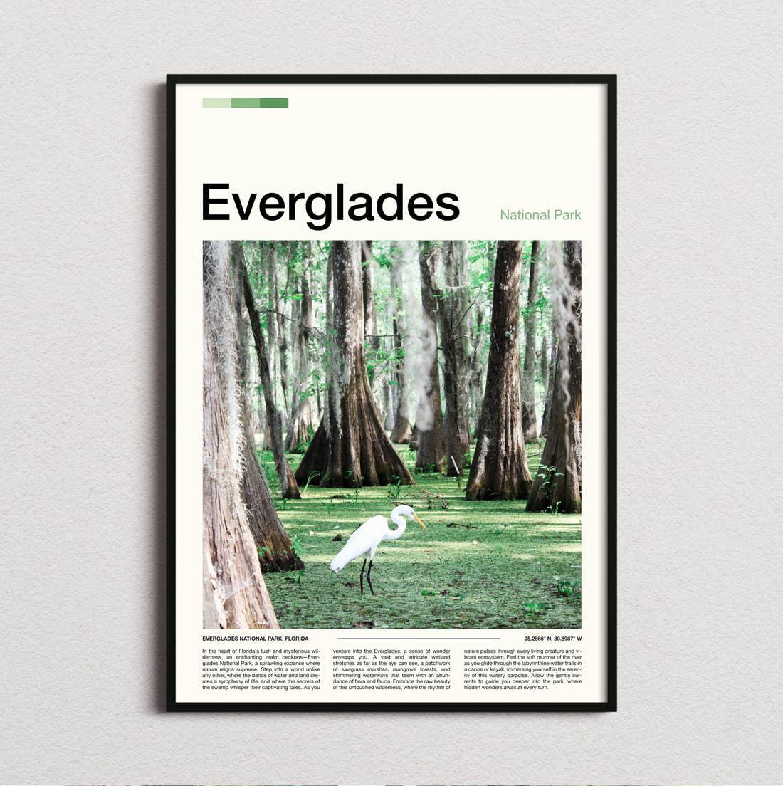 Everglades White Egret Travel Print framed and photographed straight on