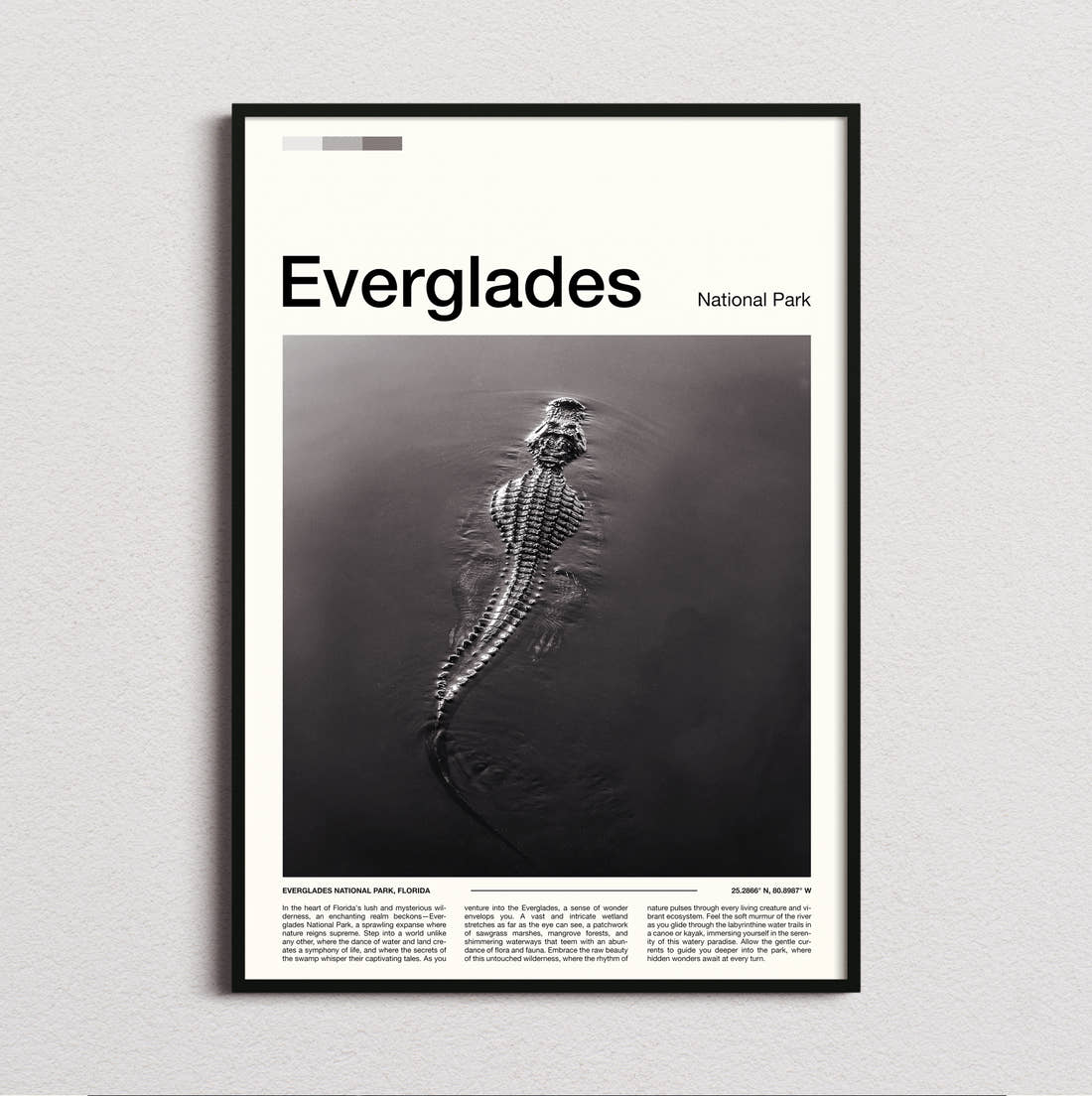 Everglades Alligator In The Water Travel Print framed and photographed straight on