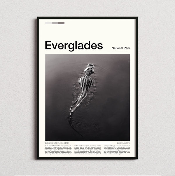 Everglades - Alligator In The Water - Travel Print
