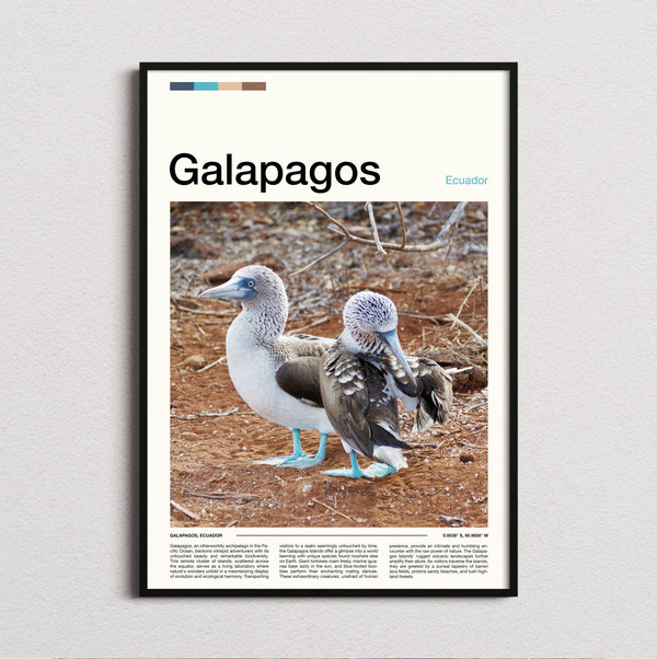 Galapagos - Blue Footed Boobies - Travel Print