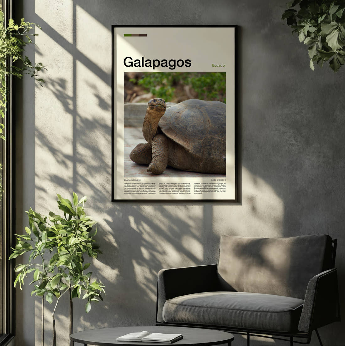 Galapagos Giant Tortoise Travel Print framed on the wall of a relaxed living room