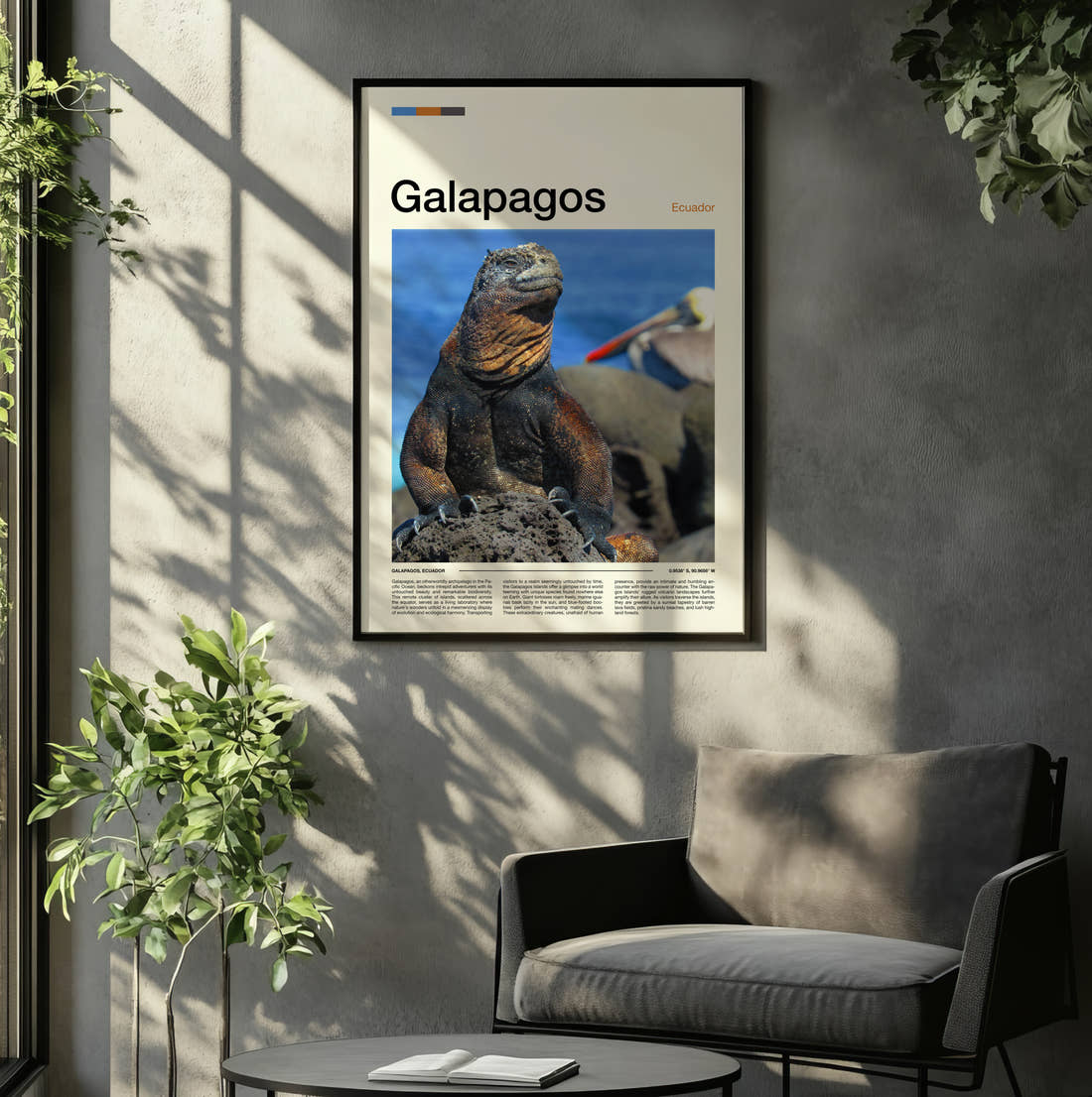 Galapagos Marine Iguana Travel Print framed on the wall of a relaxed living room