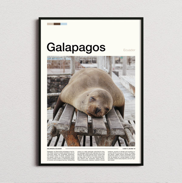 Galapagos - Sleeping Sea Lion - Travel Print