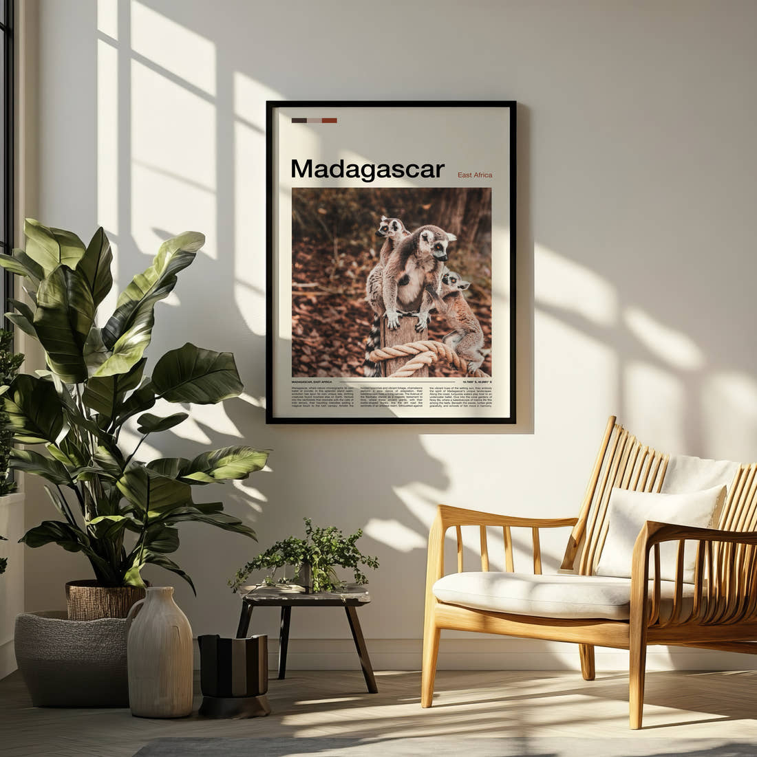 Madagascar Ring-Tailed Lemurs Travel Print framed on a pale wall beside houseplants