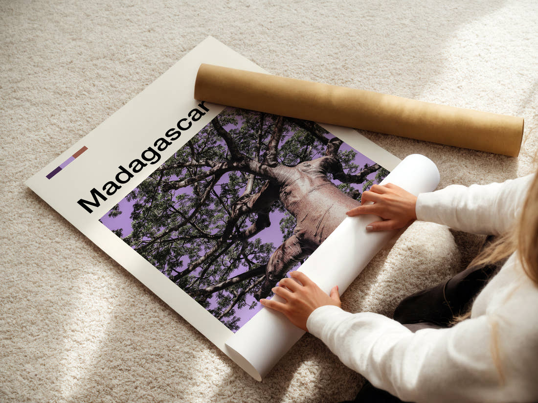 Madagascar Baobab Tree From Below Travel Print being unrolled from its postal tube