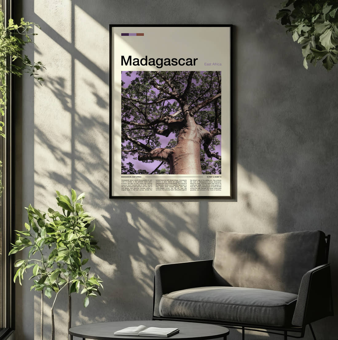 Madagascar Baobab Tree From Below Travel Print framed on the wall of a relaxed living room