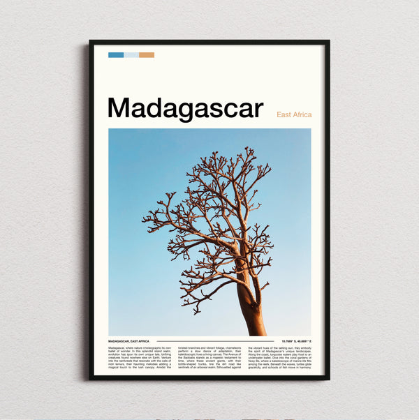 Madagascar - Lone Bare Tree - Travel Print