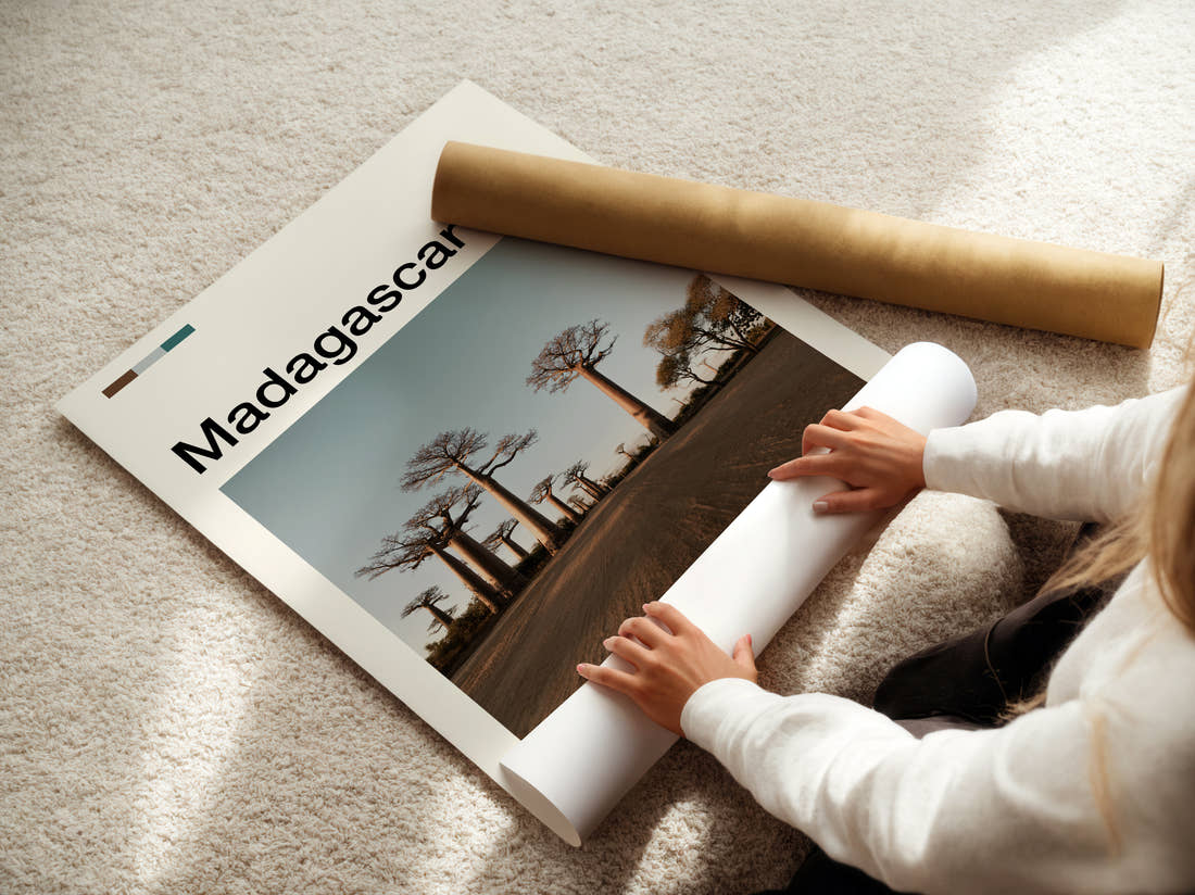 Madagascar Avenue Of The Baobabs Travel Print being unrolled from its postal tube