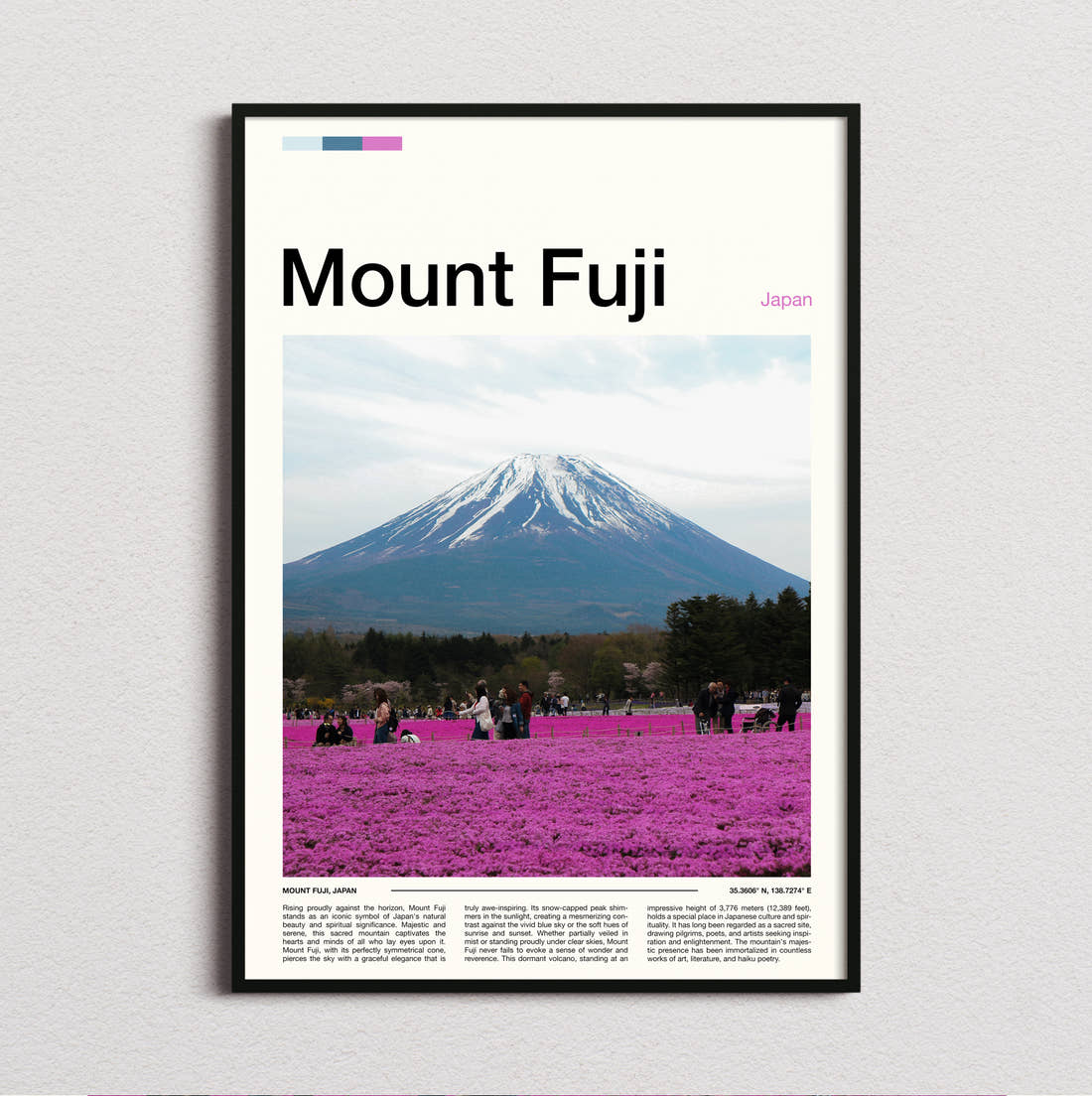 Mount Fuji Pink Flower Fields Travel Print framed and photographed straight on