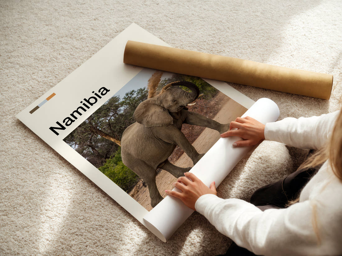 Namibia Elephant Dusting Itself Travel Print being unrolled from its postal tube