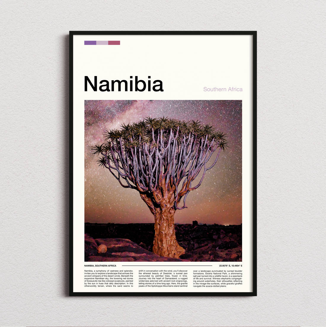 Namibia Quiver Tree At Night Travel Print framed and photographed straight on