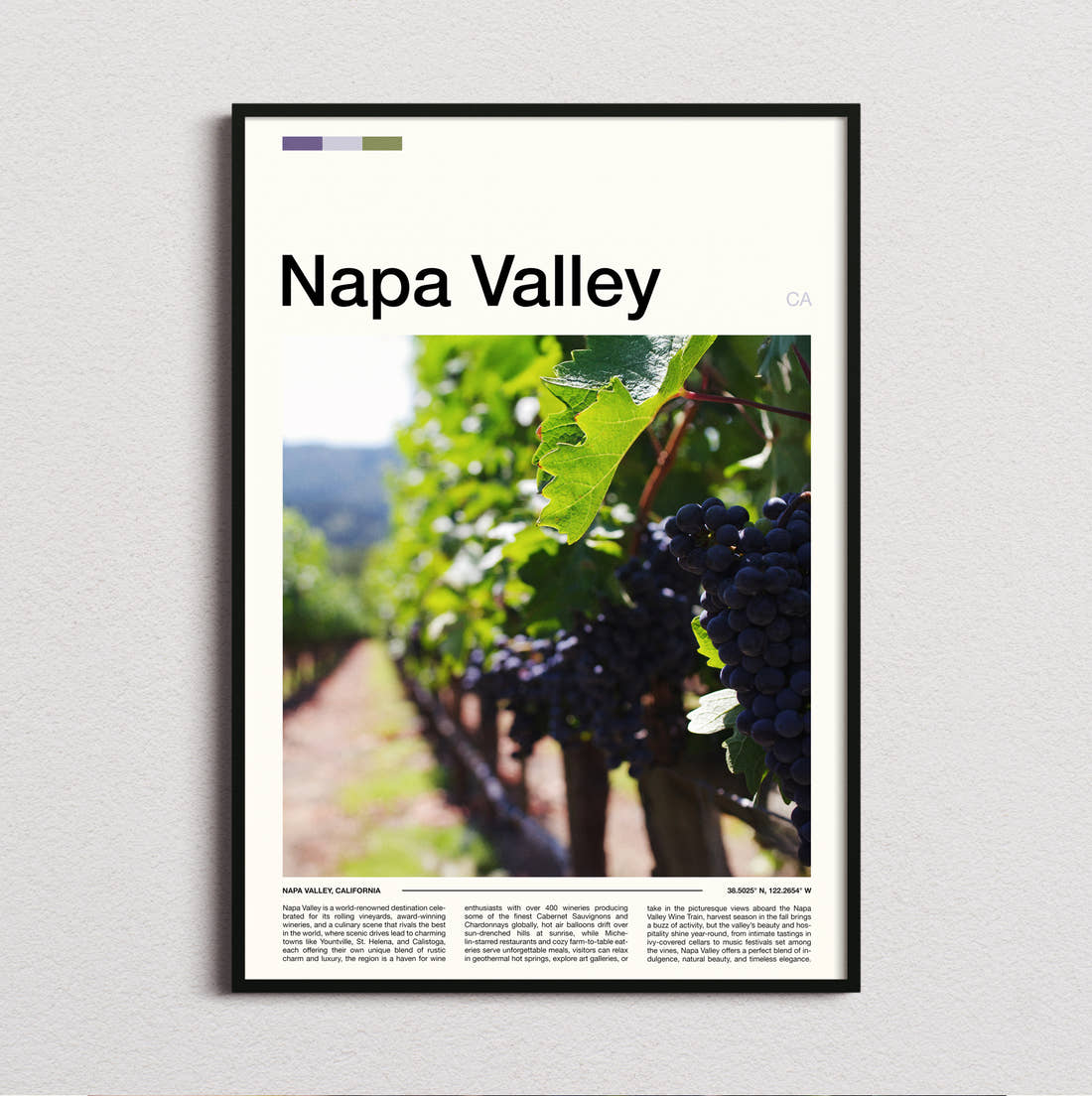 Napa Valley Grapes On The Vine Travel Print framed and photographed straight on