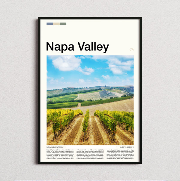 Napa Valley - Vineyard Rows - Travel Print