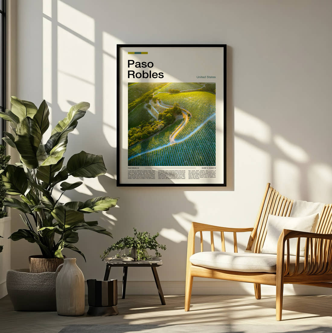Paso Robles Vineyard From Above Travel Print framed on a pale wall beside houseplants