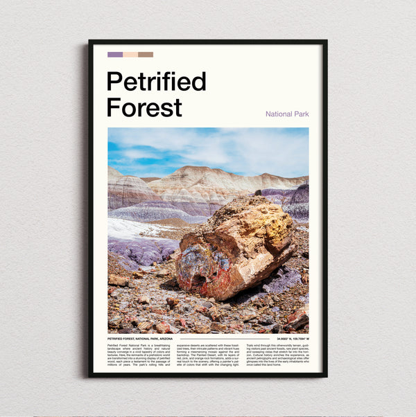 Petrified Forest - Petrified Wood - Travel Print