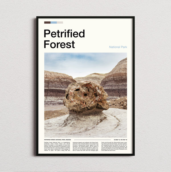 Petrified Forest - Balanced Rock - Travel Print