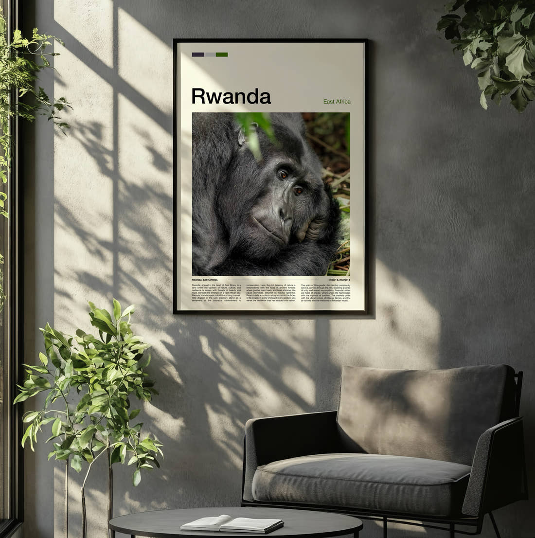 Rwanda Mountain Gorilla Travel Print framed on the wall of a relaxed living room