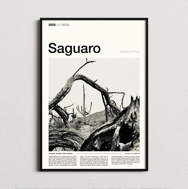 Saguaro - Fallen Tree And Cacti - Travel Print