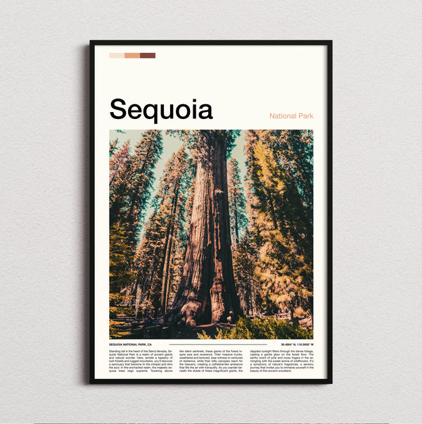 Sequoia - Giant Redwood Trees - Travel Print
