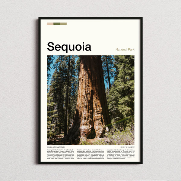 Sequoia - Giant Redwood Trunk - Travel Print