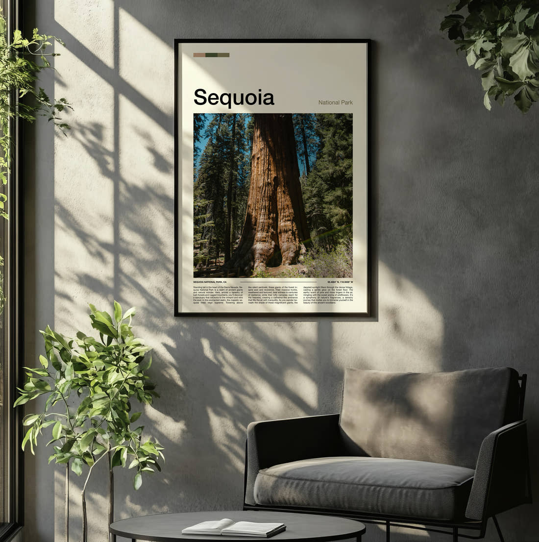 Sequoia Giant Redwood Trunk Travel Print framed on the wall of a relaxed living room