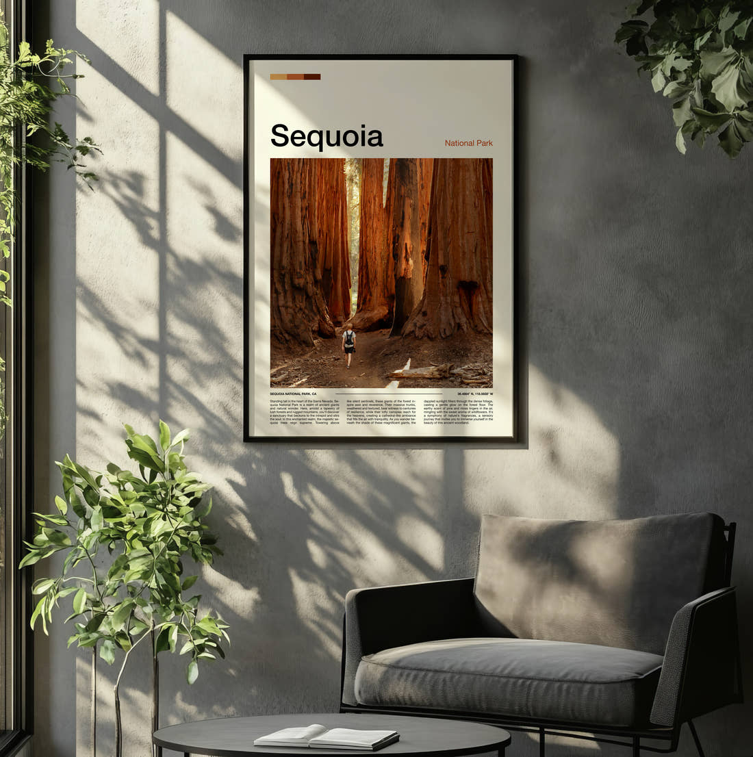 Sequoia Giant Redwood Trunks Travel Print framed on the wall of a relaxed living room