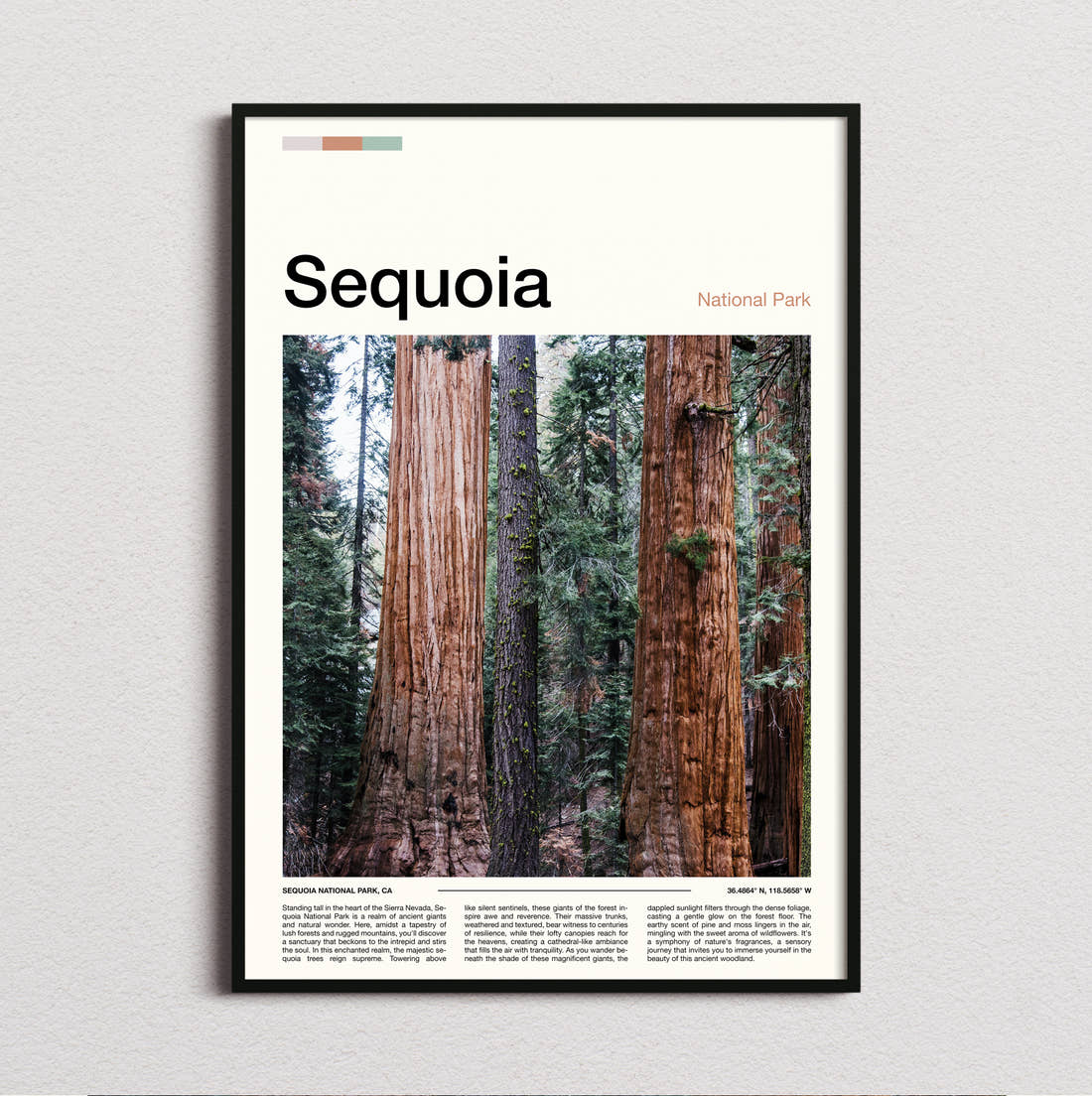 Sequoia Towering Tree Trunks Travel Print framed and photographed straight on