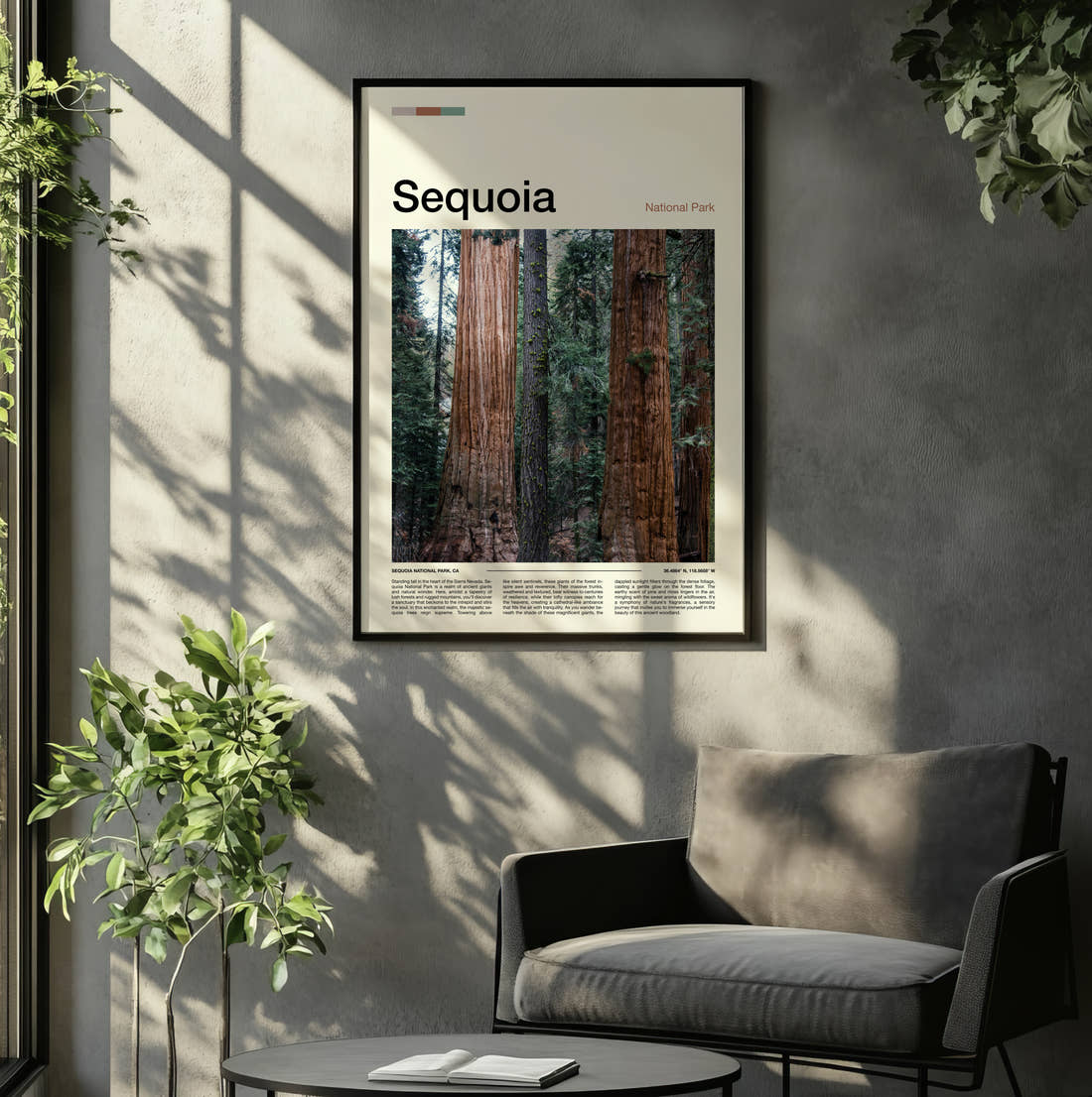 Sequoia Towering Tree Trunks Travel Print framed on the wall of a relaxed living room
