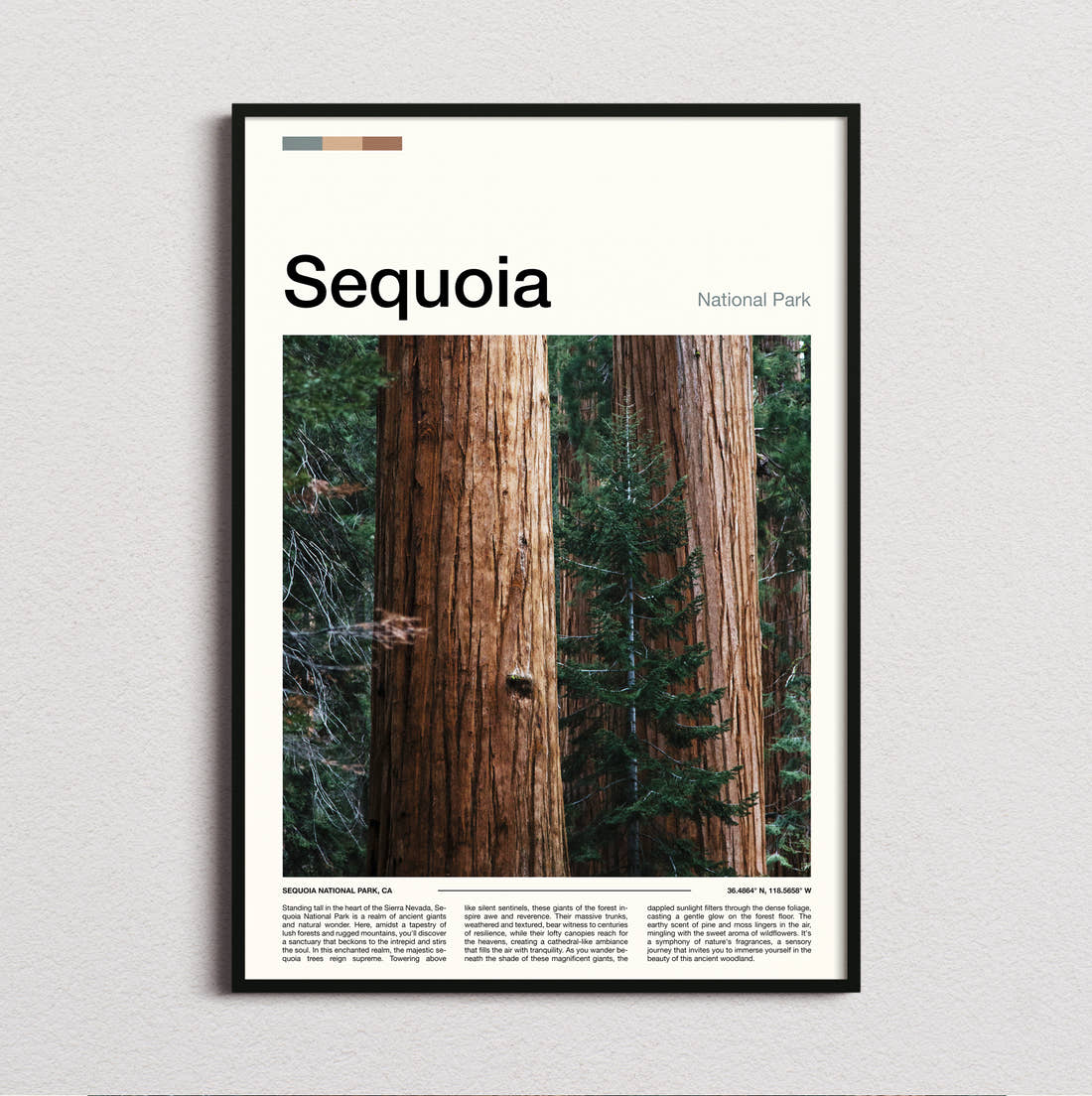 Sequoia Redwood Forest Travel Print framed and photographed straight on