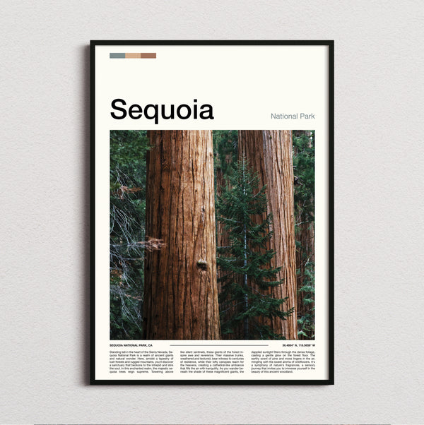Sequoia - Redwood Forest - Travel Print